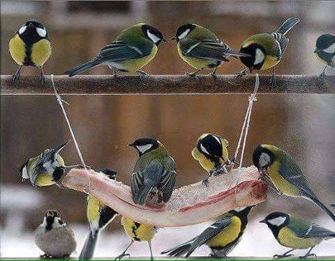 ��������� ����...