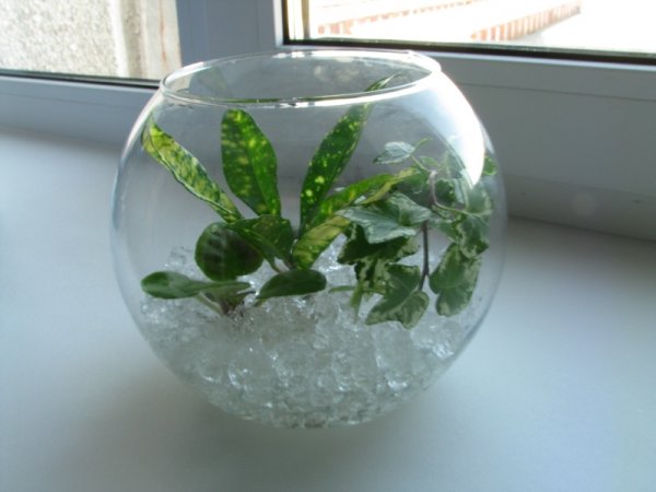 ���� �������. ��������� - ����������� �������� �������� � ���������!-1/2016