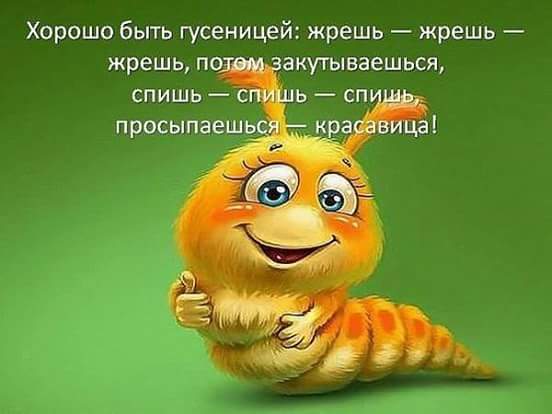 ���� ��� �����������: ��� ���������... ����� � ������... ����....