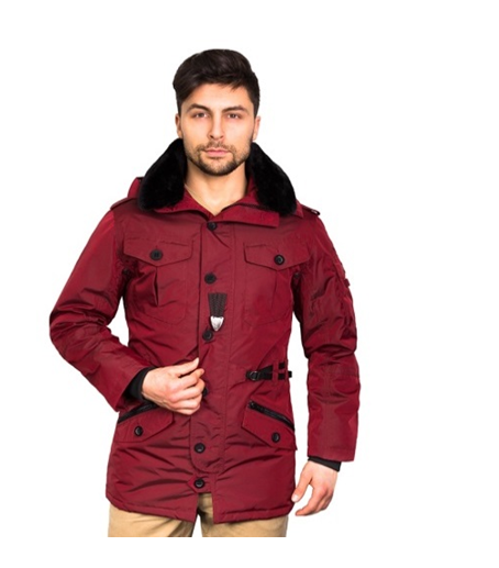 ���� �������-36. �������� ����������� ��������. ���������� �� ������������� ������,�����,����� Berloga, Scanndi - �����