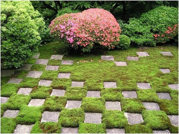 ��� ��� ������ �� ��������: