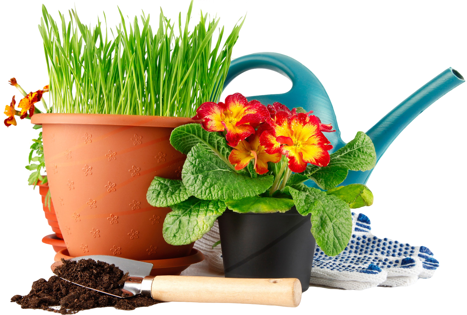 ���� �������. �ӣ ��� ����-�������. ���������,��-�� ������, ������� �����, ���������� � ������ ������� ��������