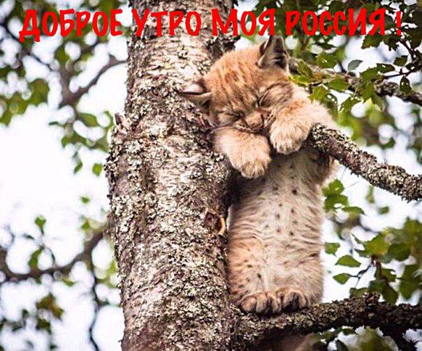 ������ ����, ��� ������ ����. ������ ����, ���� ���, ���� �� ������...