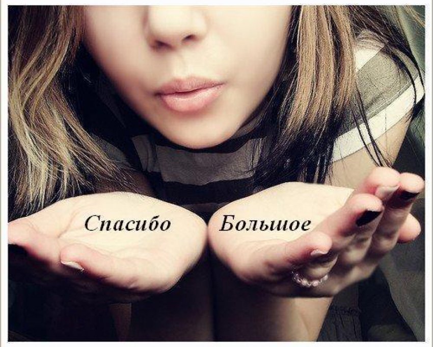 ������������� ���� ������� 11 ������