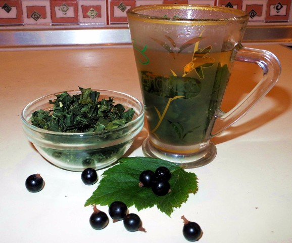 ��� �� ������� ������ ���������: ����� ������ � ������������