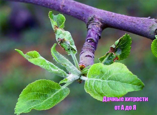 ��� ����� �����������? � ��� � ��� ��������