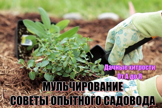 �������������. ������ �������� ��������