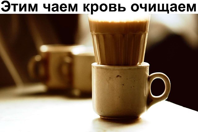 ���� ���� ����� �������