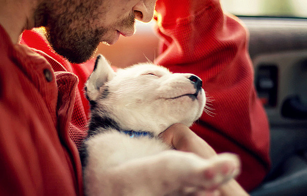 ����� ������������ � ��������� �������