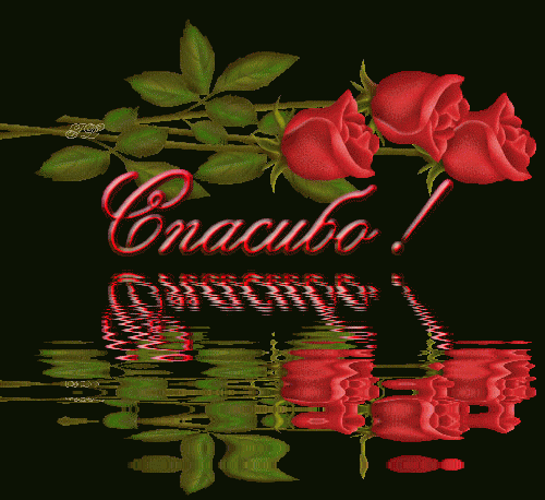 ������� 11 ������ ������������� ���� �������