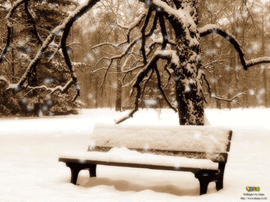 ����! ����� ��.- ���� �� ���� ����� ��������