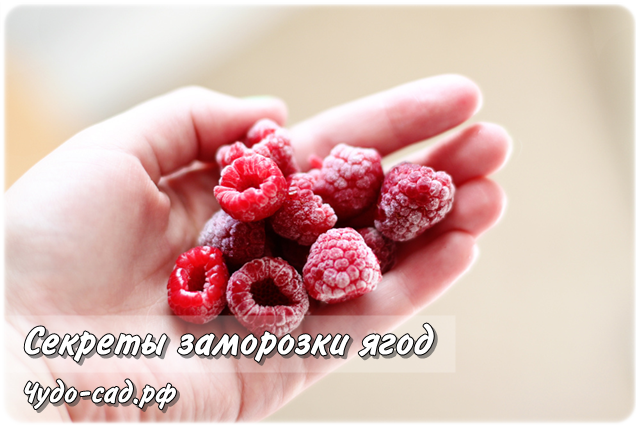 ��, ��� ����� ����� � ��������� ���� �� ����: �������� �������� ��� �������