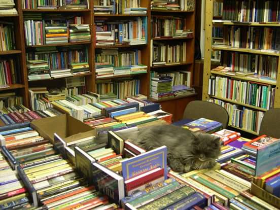 ������ ���� ����������� � ������ �������� ������ ��������� �������...