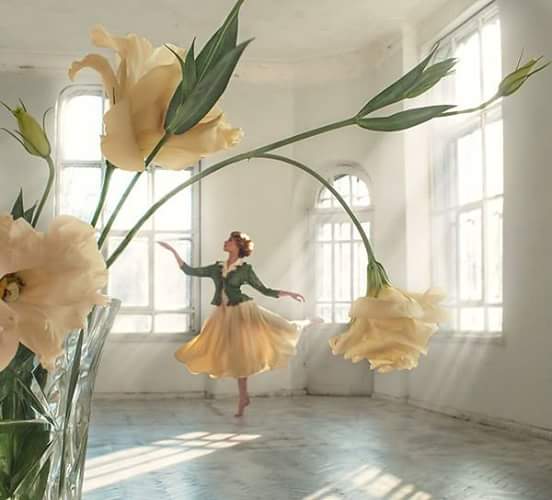 ����� ����� ����������� �������� ������� �� �����.