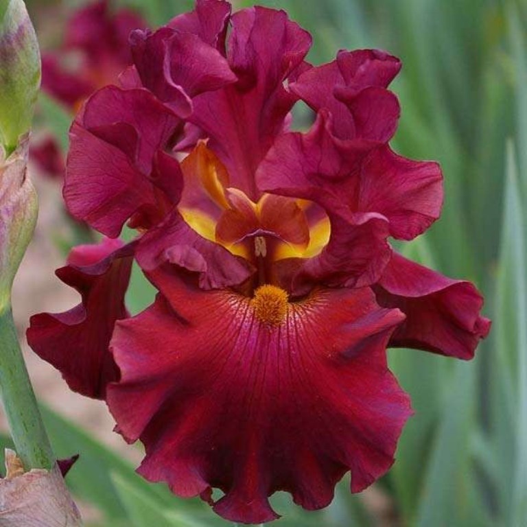 ����� �� ������������ ��������� ����. ��������� �� ���� 2016 �