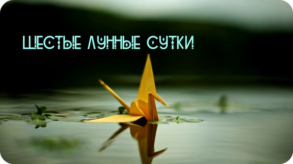 ������ ��������� ������ ������ �����