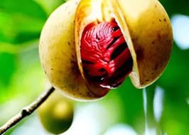 ��������� ������� - 2!