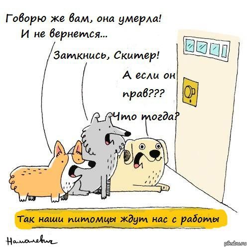 ��� ���� ���