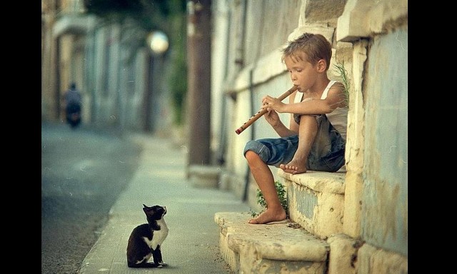 �������, ����� ����� ������ ����������