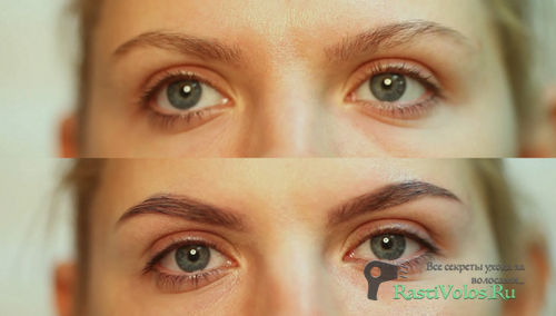 ��������� ������ ����