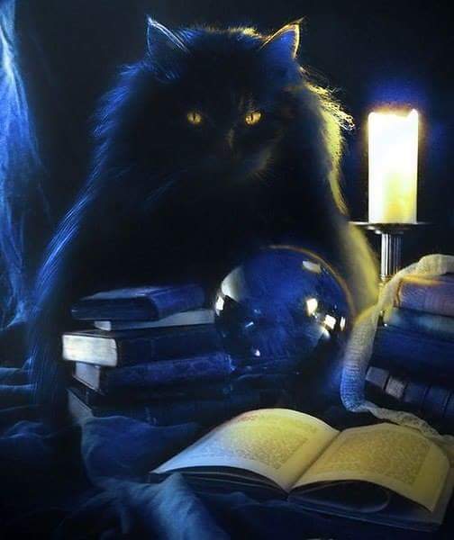 �� ����� ������ ���! ��������, ��� ������� ��� ������� �����!