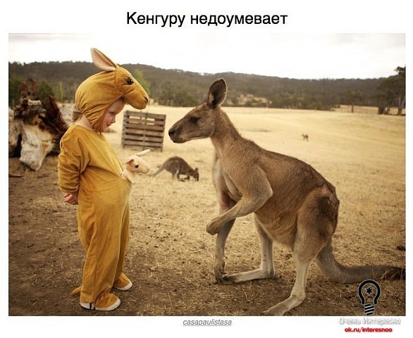 ����������, �� ������� ���������� �������� ����������