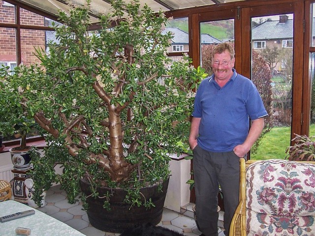 ��� ������������ �������� ����� � ��������� ������