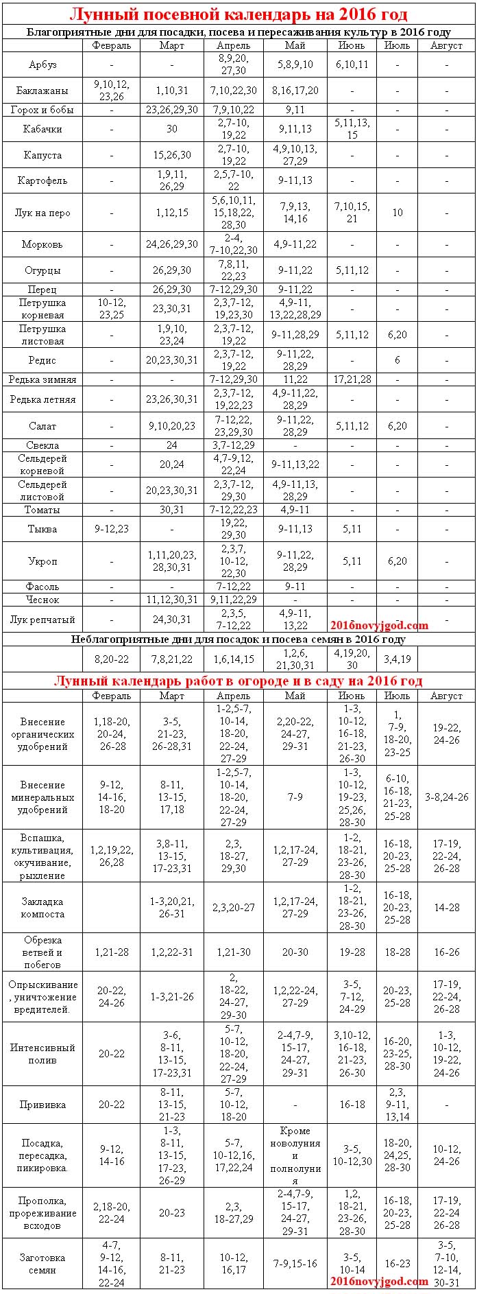 ������ ��� ���������