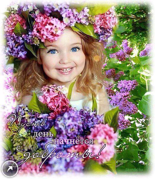 ������� ���� �����, ������������ ���...