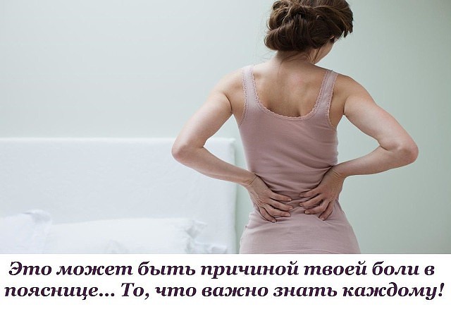 ��� ����� ���� �������� ����� ���� � ��������