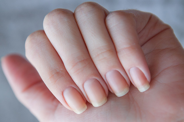 ���� ���������, ������� ����� ������� ����, ���������� ����� ������������