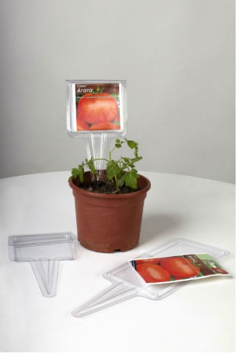 ���� �������. ���������� ����� ��� ���������! ������� �����! ������ �� �� �������� ��� � ��� ��������. �������. ��� �����. �����-5