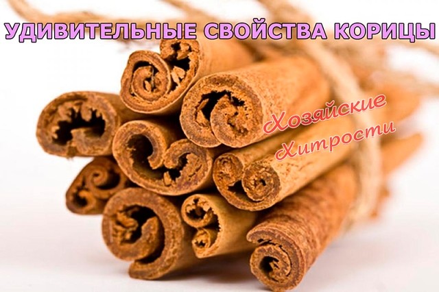 ������������ �������� ������