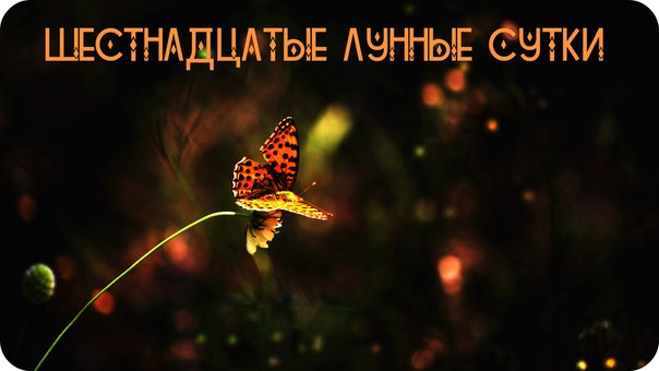 ������ ��������� ������������ ������ �����