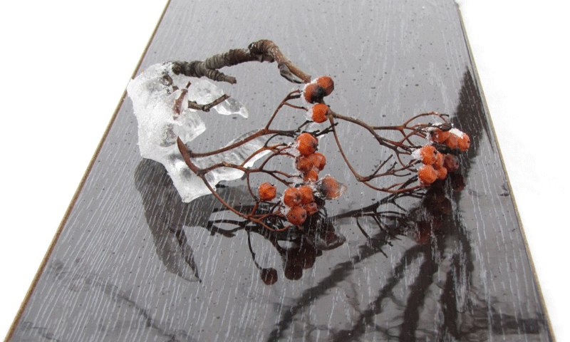  ���� �������. ��������� ��������(�������, ��������� �����) . ��������� ������� . ���� 22 ������� 