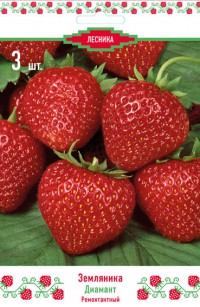 ���� ������� - ���o��r�� �o�ck - ���-����� - ��������� - ����� - �����, ����������, ����, ���������, ����� � �� �����, ������������ ���������� - 17