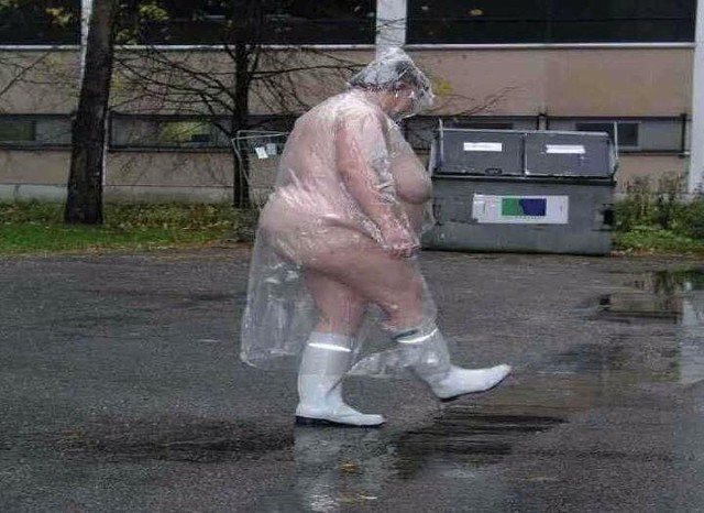 � ������� ��������