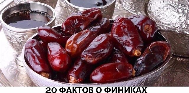 20 ������ � �������