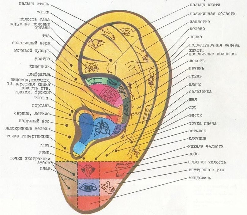 ������ ���� ���������? ������� ������ ����