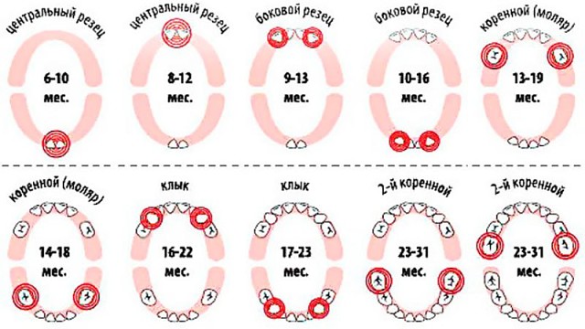 ��� ��� - ������ �����