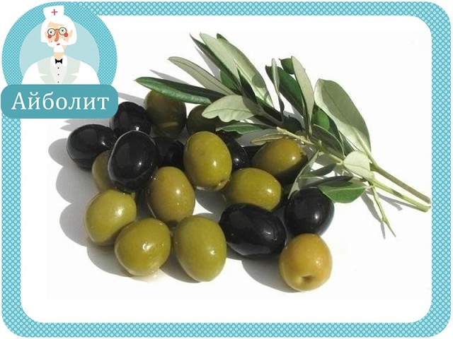 ����� ������� �������� ��������, ������� �����