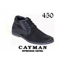 ���� �������. ������� ����� �� ��� ������. ����������� ����.