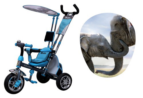 ���� �������. �������� ����, ������������ ��������: ���������� 3 ������, �������� - �������� ����� (�� ��������� �� �������� � ��������� ��������). 