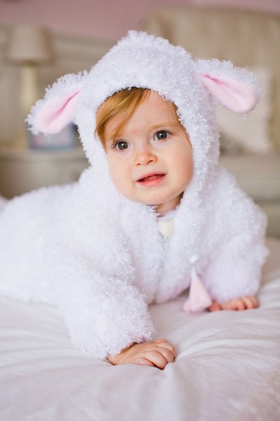 ���� �������. ������� ������ BabyBest ������������ ������� �� ������ �����. �������� �� �������, ������� ��������, �����������, ������� �������� �� �� 7 ���. ����������� �����. ����� 2.