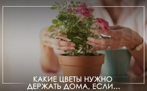 ����� ����� ����� ������� ����, ����