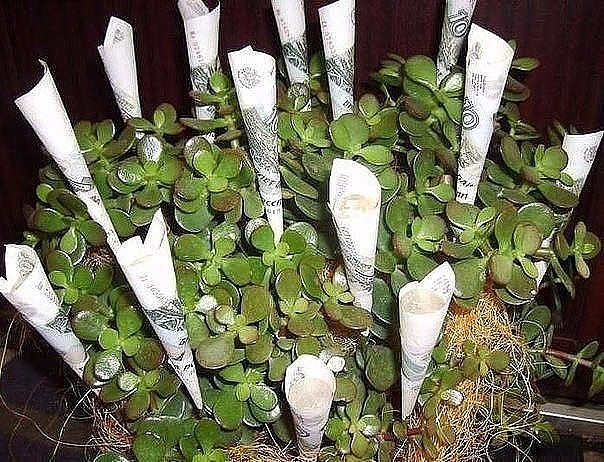 ��������� �������� ����������� ������������