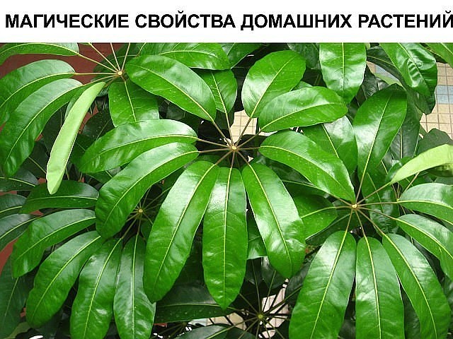 ���������� �������� �������� �������� ��� ����� ����� ����������, � ����� �� ����� ����� � ����