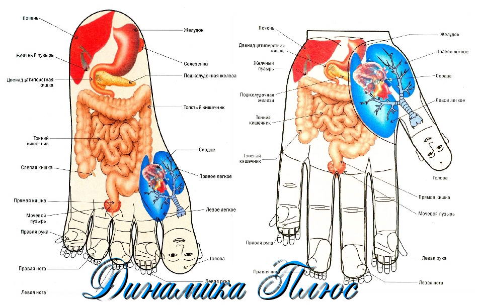 �� ���� - ������ ������ � ����� ���������