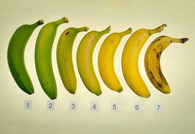 ���� ��� �� ����: ����� ������ ������ ����������� ������