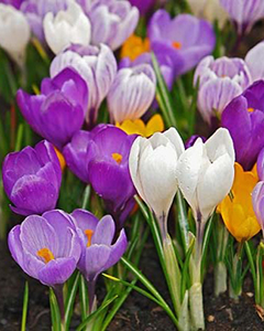 ���� �������.�������� � 8 �����. �������� ����� � ��������� ( �������, ��������,���������,�������,�������� ,������� )